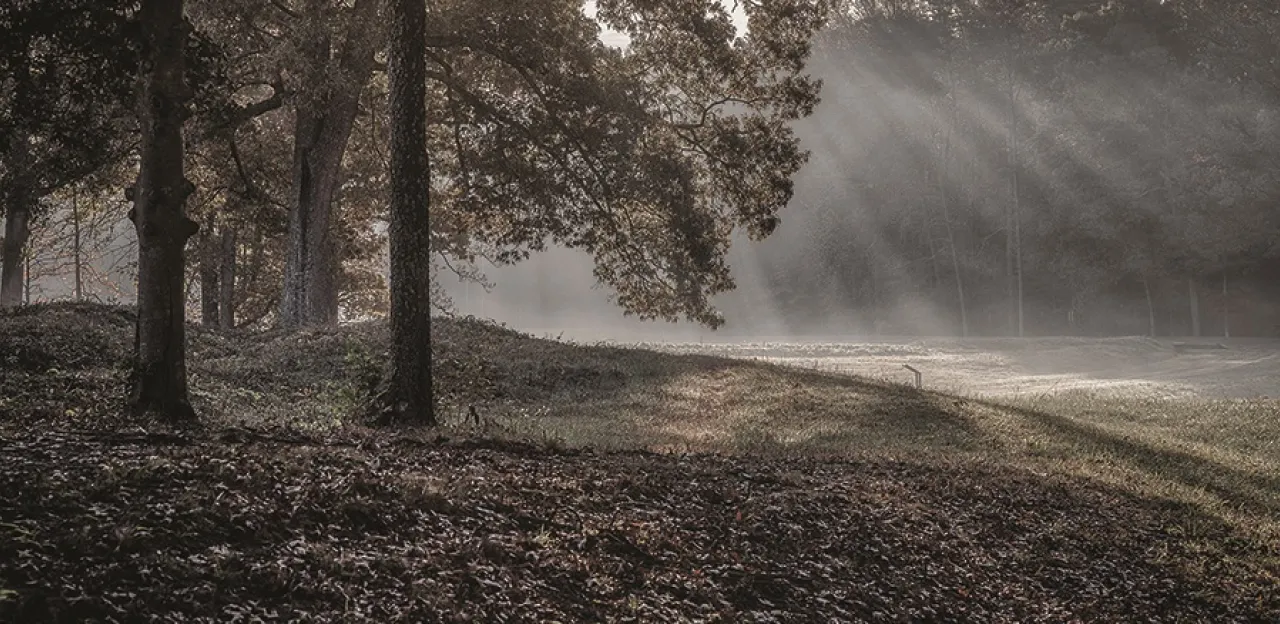 This image depicts rays of light shining through the trees at Spotsylvania.