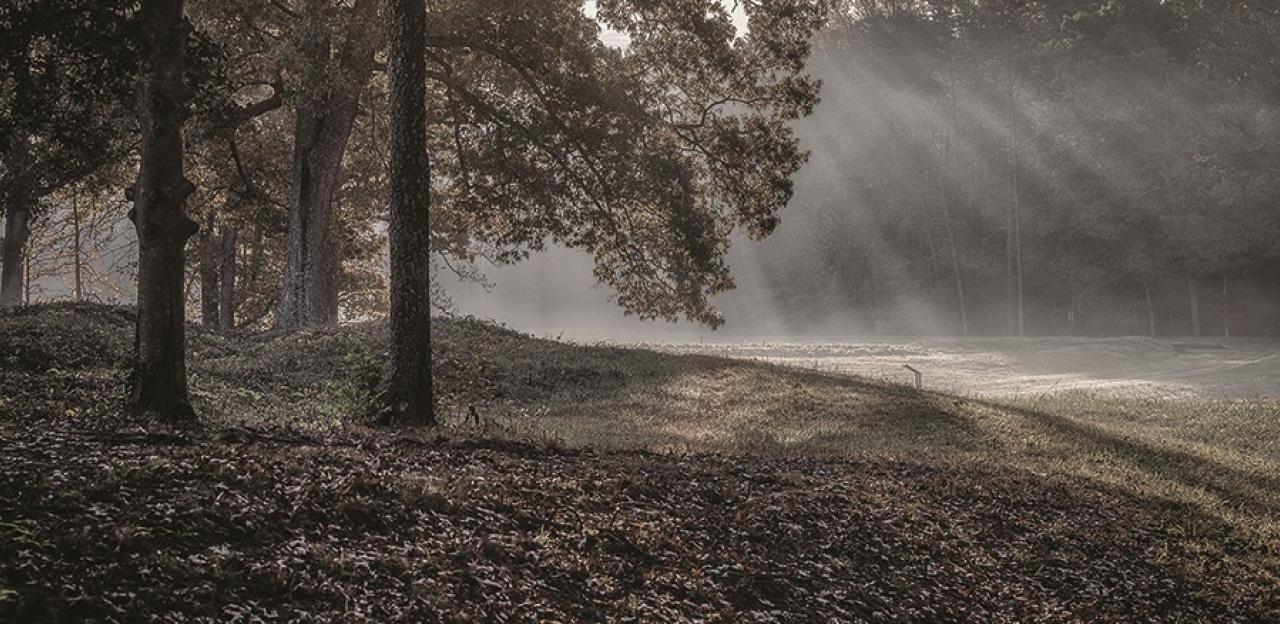 This image depicts rays of light shining through the trees at Spotsylvania.