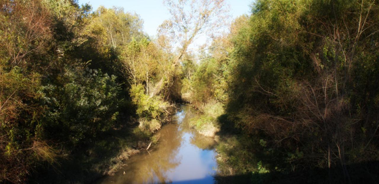 Baker's Creek Lower full width