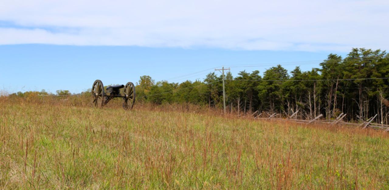 Confederate Artillery