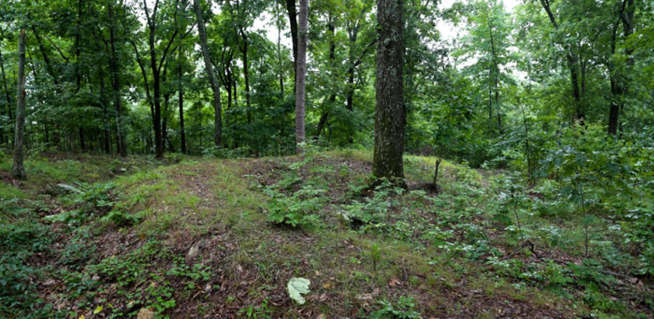 Confederate Earthworks at Little Kennesaw