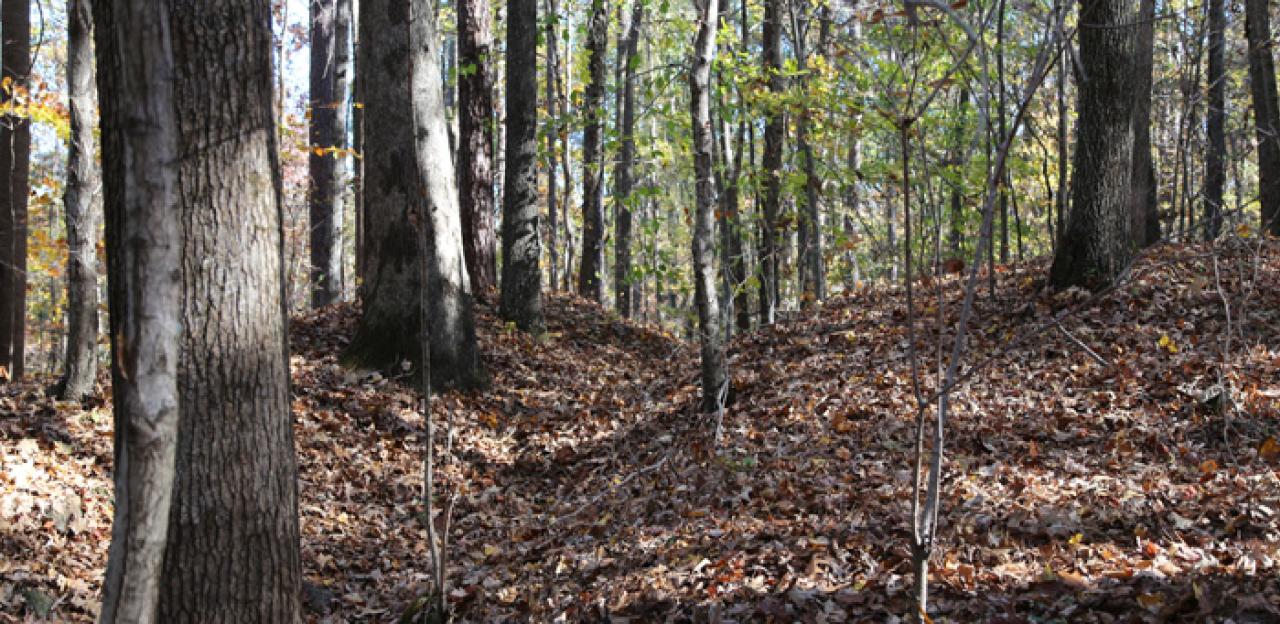 Confederate Rifle Pits (700x)