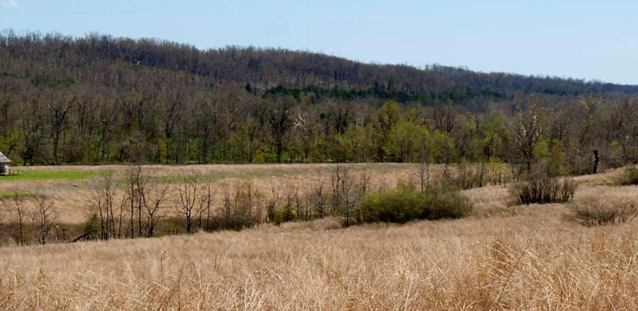 Photograph of Wilson's Creek