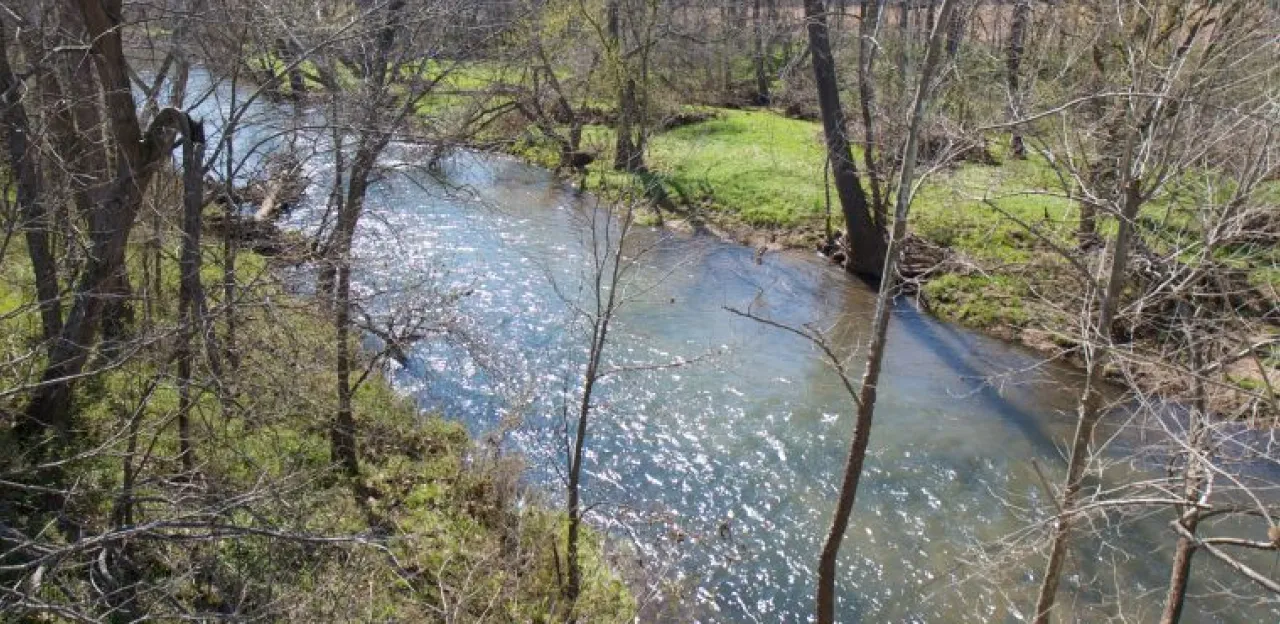 Wilson's Creek Full