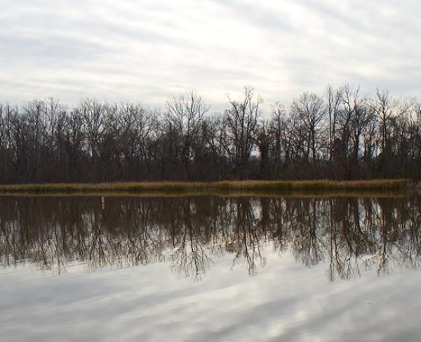 Deep Bottom Battlefield Hero