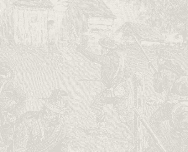 Default History Charge