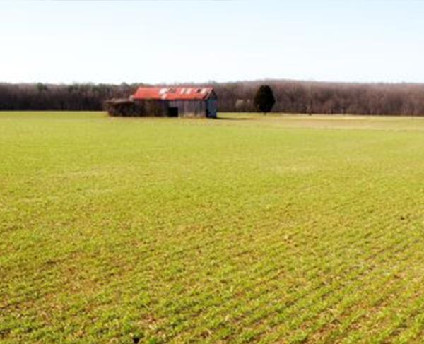 Fredericksburg 10 Facts