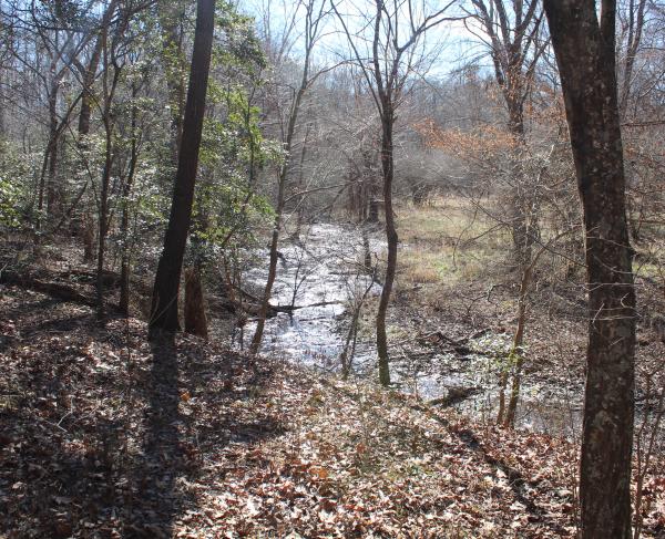 Hatcher's Run Battlefield View