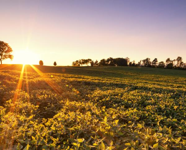 Make Some History This Weekend in Culpeper Parallax Hero