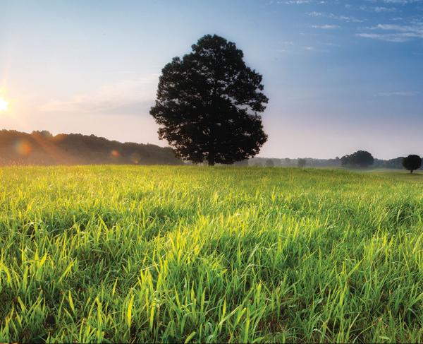 Make Some History This Weekend in Fredericksburg Hero