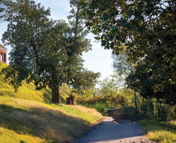 Sidewalk broken by erosion on pathway through the battlefield.