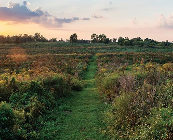 Save Perryville and Stones River Landscape Square Save Perryville and Stones River Landscape Square