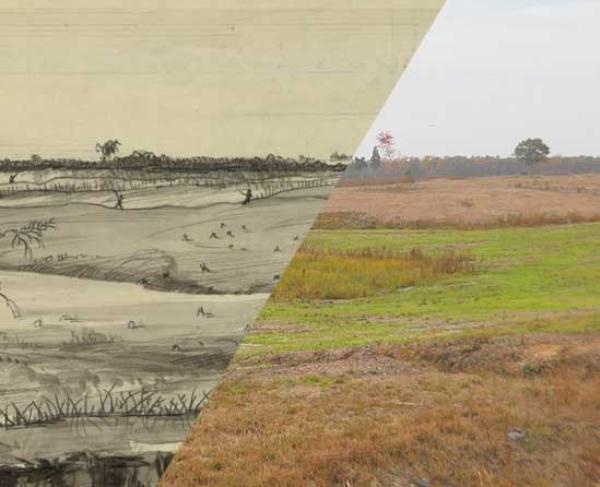 Restoration Appeal 2019 Square Restoration Appeal 2019 Square