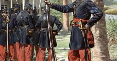 1st South Carolina Volunteer Infantry Regiment & The 33rd United States ...