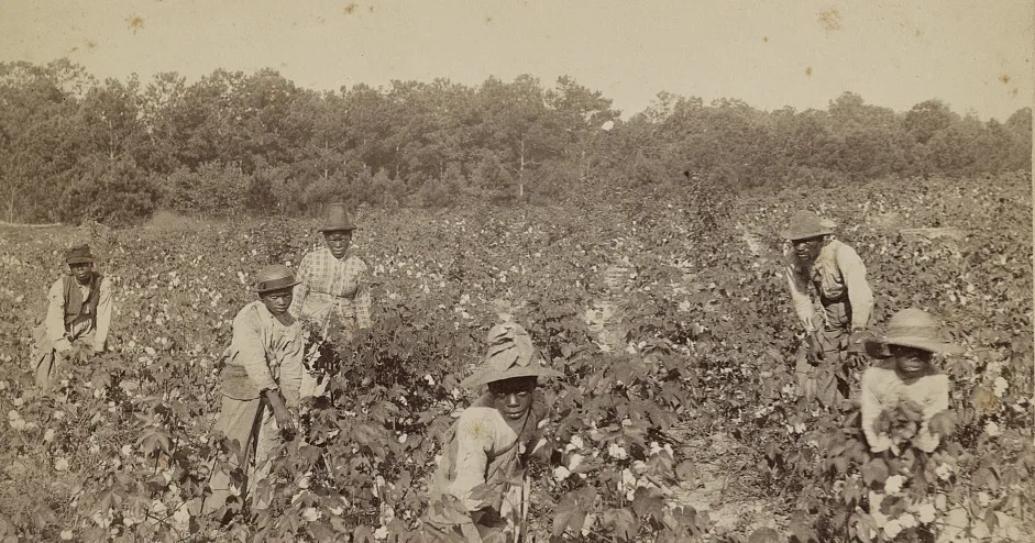 Cotton is King” | American Battlefield Trust
