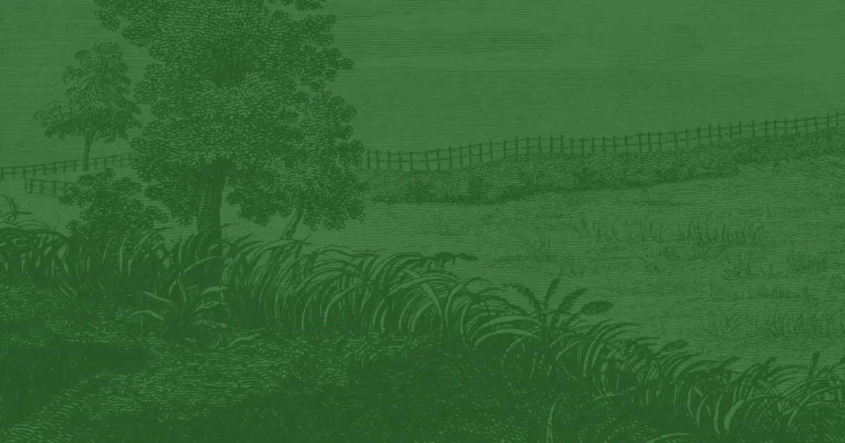 Ramsour’s Mill Battle Facts and Summary | American Battlefield Trust