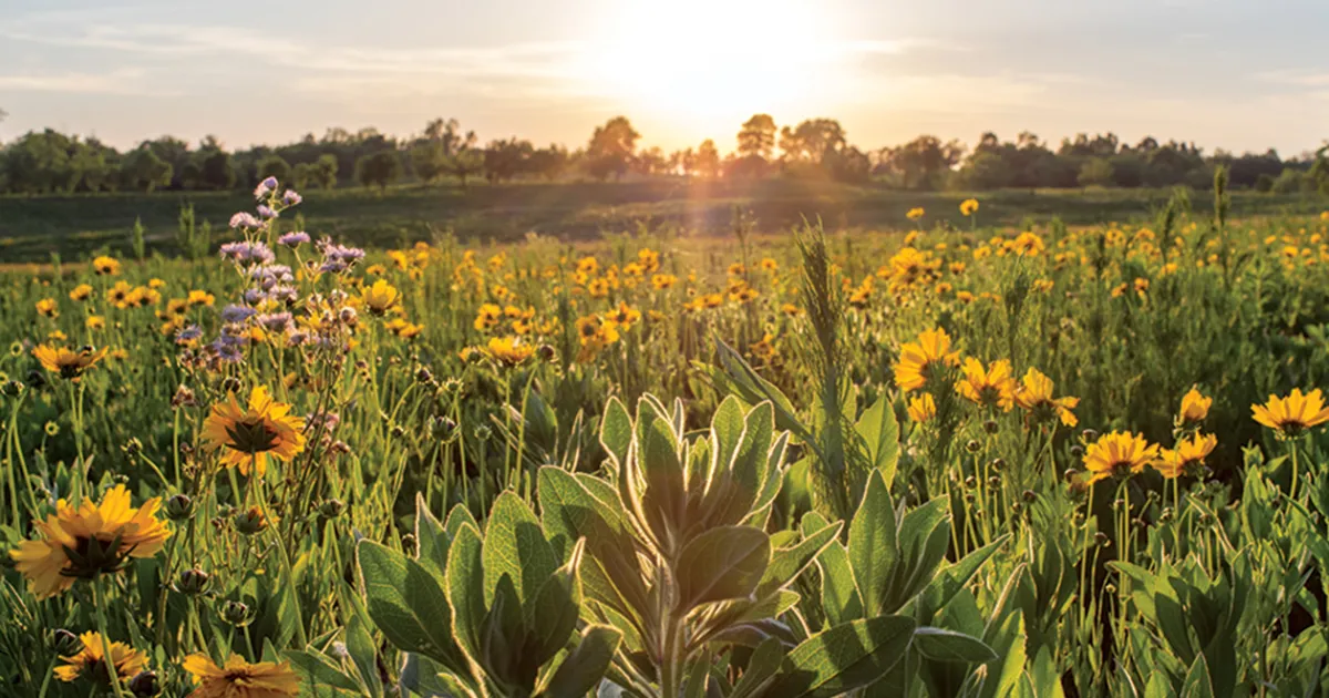 Three Decades in the Trenches of Battlefield Preservation