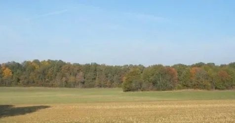 www.battlefields.org