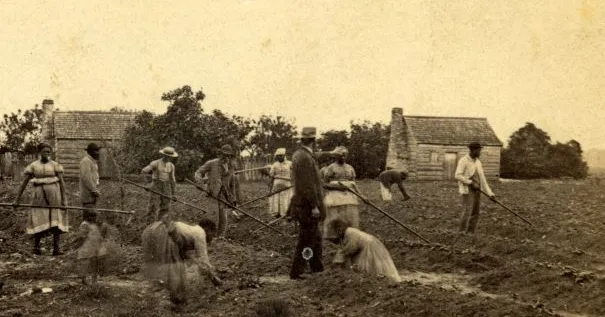 www.battlefields.org