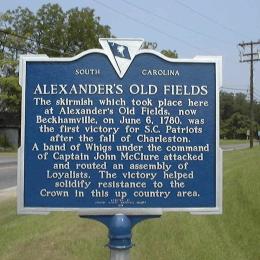 Alexander's Old Field