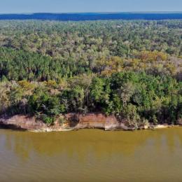 Rising above the Tensaw River, the Blakeley Bluffs provide an exceptional example of the intersection between historical and environmental conservation.