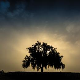 Chalmette Battlefield, La.