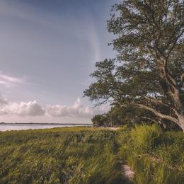 The Remnants of Fort Johnson