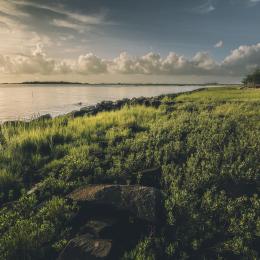 Fort Johnson, Charleston, S.C. | MATT BRANT