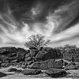 Black and white photo with layers of large boulders and a tree peeping up behind