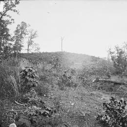 Pine Mountain, Ga., 1864, where Gen. Polk was killed