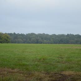 Prairie D'Ane Battlefield