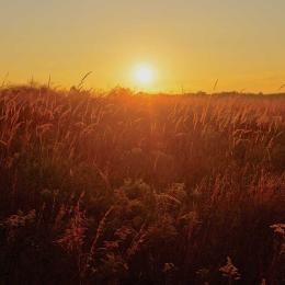 Sunrise at Manassas National Battlefield Park, Va.