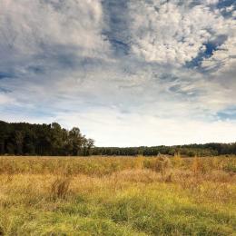Wyse Fork Battlefield, Kinston, N.C.