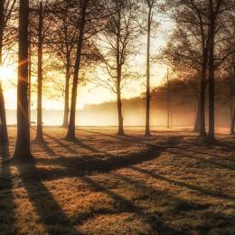 Saunders Fields, Wilderness Battlefield, Fredericksburg and Spotsylvania National Battlefield Park, Va.