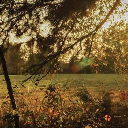 Waxhaws Battlefield in South Carolina