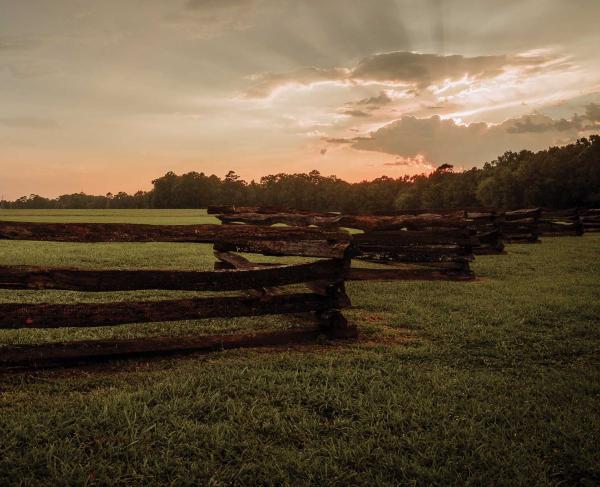 Averasboro Battlefield and Museum, Dunn, N.C.