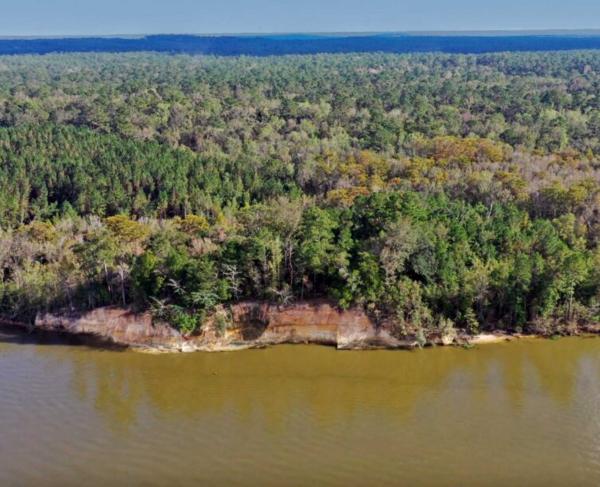 Rising above the Tensaw River, the Blakeley Bluffs provide an exceptional example of the intersection between historical and environmental conservation.