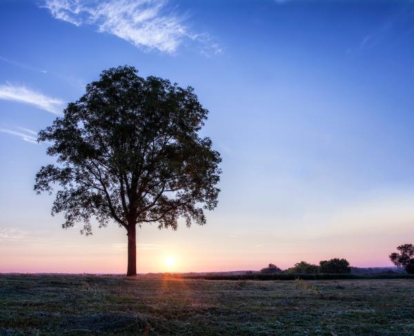 Brandy Station Battlefield by Buddy Secor