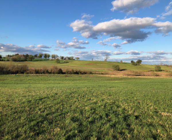 Brandy Station, Culpeper County, Va.