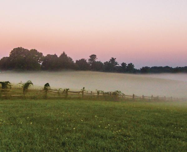 Brandywine Battlefield