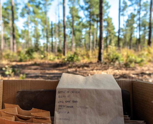 Items from the Camden archealogical dig on the battlefield