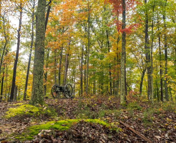 Photograph of Camp Wildcat battlefield atop Hossier Knob