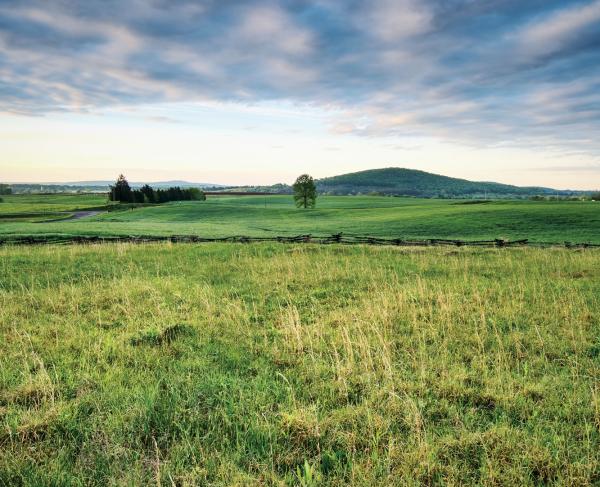Cedar Mountain Battlefield, Culpeper County, Va.