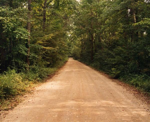 Chancellorsville photographed by Leon Reed