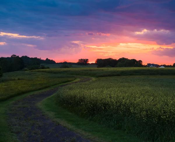 A vivid dusk sky at Chancellorsville Battlefield. A path leads into the distance.
