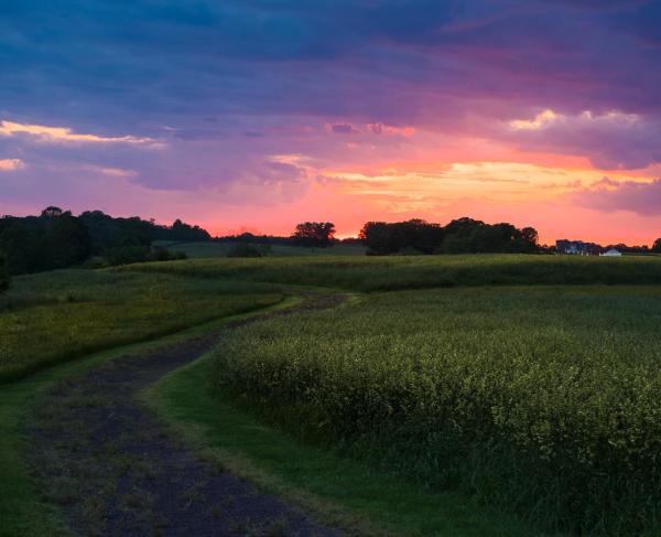 A vivid dusk sky at Chancellorsville Battlefield. A path leads into the distance.