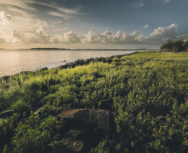 Fort Johnson, Charleston, S.C. | MATT BRANT