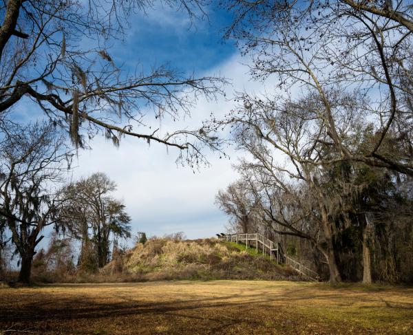 Photograph of the Native American burial mound that Fort Watson was built on top of. 