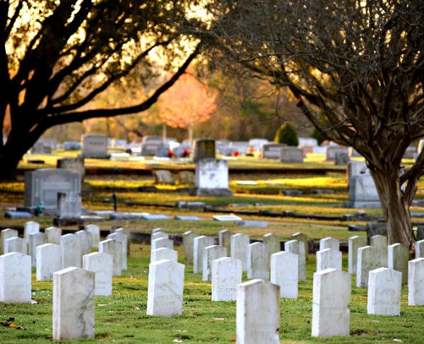 Tombstones in a graveyard with two trees in the background. 