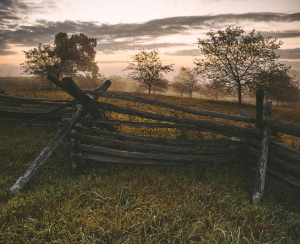 View from behind a snake rail fence with trees, mist and clouds